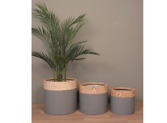 Indoor FRP Plant Pots, Stylish Fiberstone Pottery, Premium Outdoor Plant Containers