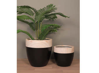 Indoor FRP Plant Pots, Stylish Fiberstone Pottery, Premium Outdoor Plant Containers